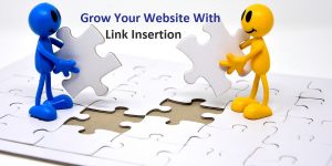 Read more about the article 4 Incredible Ways Link Insertion Can Help Your Website Grow